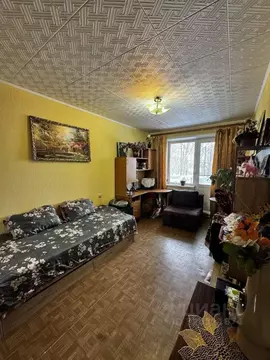 1-к кв. Пермский край, Березники ул. Миндовского, 6 (31.9 м)