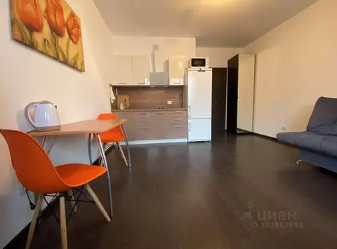 Студия Санкт-Петербург ул. Верхне-Каменская, 9к1 (25.0 м)