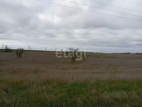 Участок в Крым, Ленинский район, Семисотское с/пос, с. Каменское ул. ...