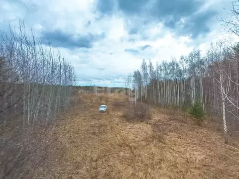 Участок в Тюменская область, Нижнетавдинский муниципальный округ, ...