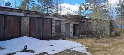 Помещение свободного назначения в Вологодская область, Кадуйский ...