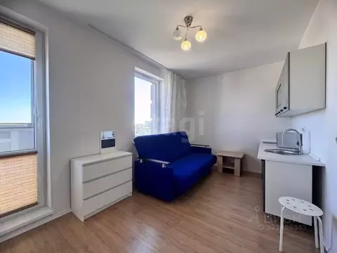 Студия Московская область, Истра муниципальный округ, д. Черная ул. ...