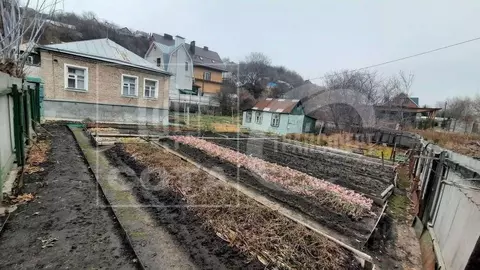 Участок в Воронежская область, Хохольский район, с. Новогремяченское ...