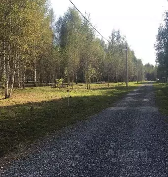 Участок в Московская область, Дмитровский муниципальный округ, пос. ...