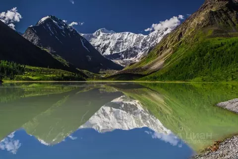 Участок в Алтай, Чемальский район, Элекмонарское с/пос, Седьмое Небо ...