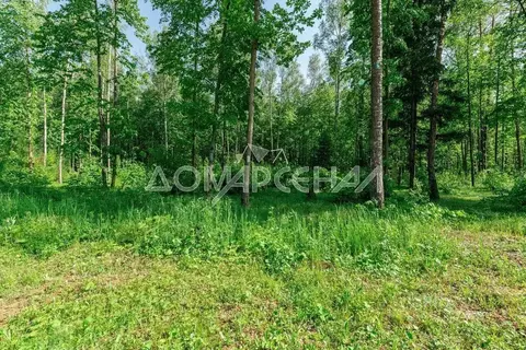 Участок в Москва д. Романцево,  (400.0 сот.)
