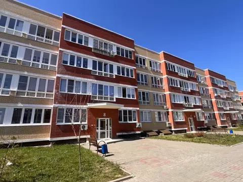 Студия Московская область, Истра муниципальный округ, д. Высоково ...