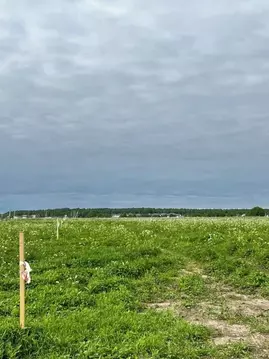 Участок в Ленинградская область, Ломоносовский район, Горбунковское ...