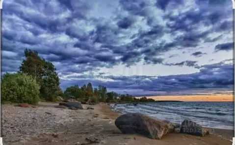 Участок в Псковская область, Печорский муниципальный округ, д. Литовиж ...