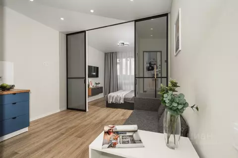 Студия Московская область, Старая Купавна Богородский городской округ, ...