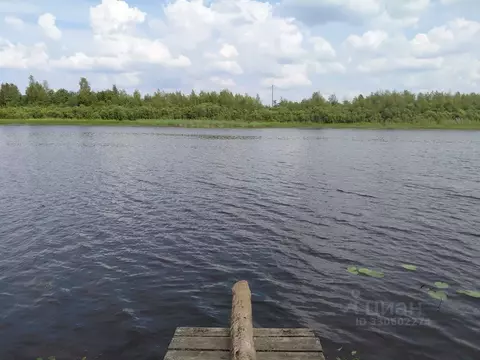 Дом в Ленинградская область, Лодейнопольский район, Доможировское ...