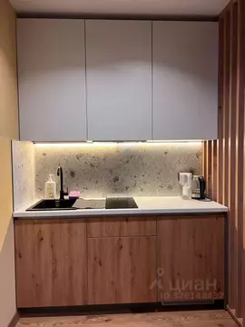 Студия Санкт-Петербург дор. На Турухтанные острова, 5к1 (27.2 м)