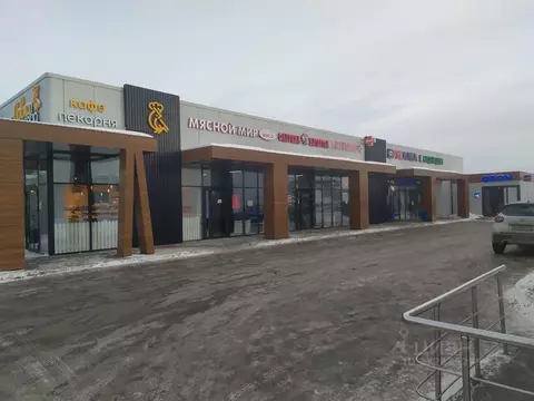 Торговая площадь в Татарстан, Казань Кадышево жилмассив, ул. ...