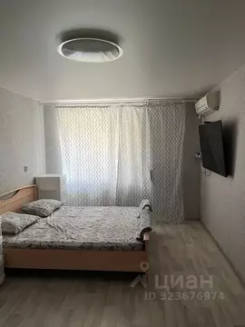 1-к кв. Волгоградская область, Волгоград ул. Фадеева, 33 (34.0 м)