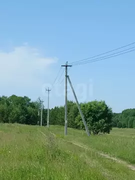Участок в Тюменская область, Тюменский муниципальный округ, д. Речкина ...