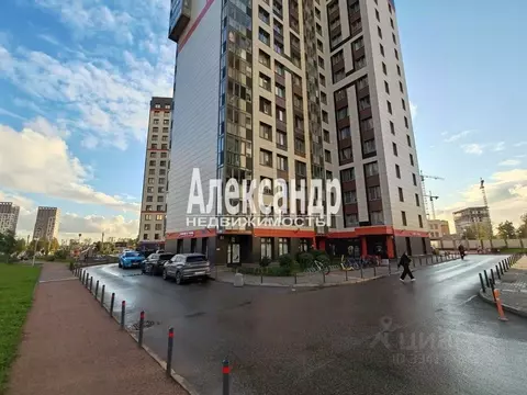 Помещение свободного назначения в Санкт-Петербург дор. Кушелевская, ...