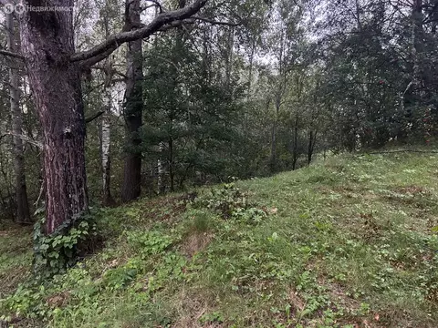 Участок в Владимирская область, Александровский муниципальный округ, ...