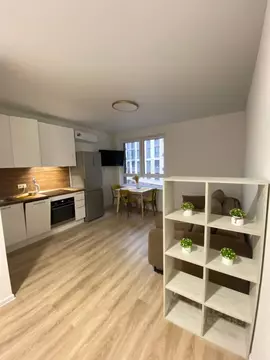 Студия Московская область, Одинцовский городской округ, с. Лайково, ...