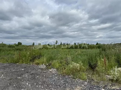 Участок в Тюменская область, Тюменский муниципальный округ, ...