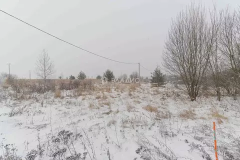 Участок в Владимирская область, Суздальский район, Новоалександровское ...