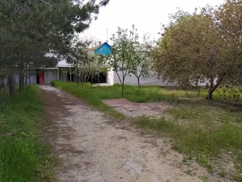 Дом в Волгоградская область, Волгоград Прилукская ул. (242 м)