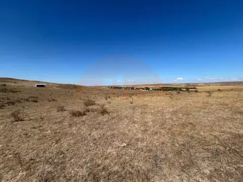 Участок в Крым, Симферопольский район, Чистенское с/пос, с. Камышинка ...