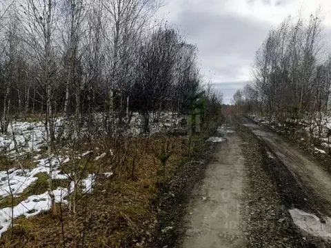 Участок в Томская область, Томский район, с. Корнилово ул. Вербанова ...