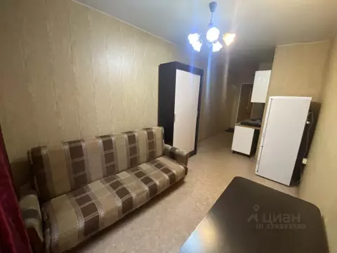 Студия Московская область, Раменский муниципальный округ, д. Дергаево ...