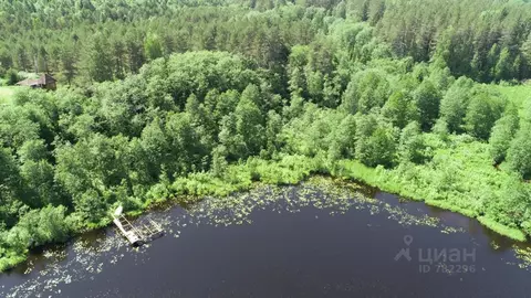 Участок в Новгородская область, Валдайский район, Едровское с/пос, д. ...