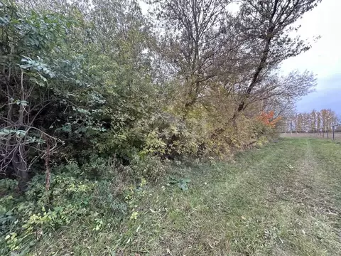 Дом в Белгородская область, Прохоровский район, Призначенское с/пос, ...