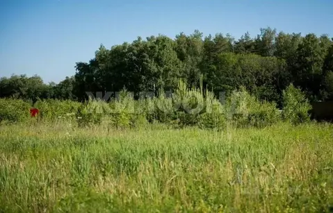 Участок в Томская область, Томский район, с. Тахтамышево ул. ...