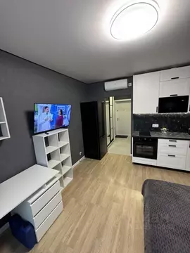 Студия Москва Ясеневая ул., 12к1 (20.0 м)