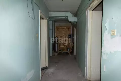 Помещение свободного назначения в Свердловская область, Нижний Тагил ...