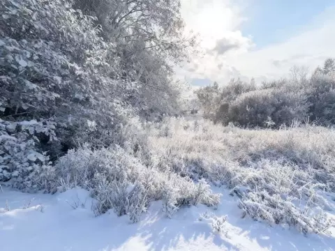 Участок в Ленинградская область, Киришский район, Глажевское с/пос, ...
