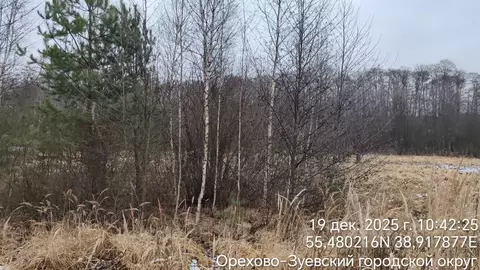 Участок в Московская область, Орехово-Зуевский городской округ, с. ...