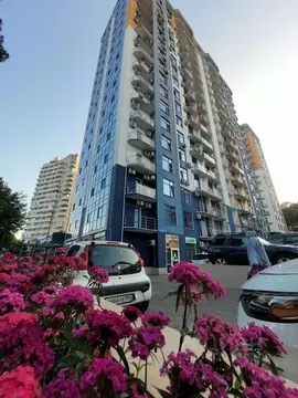 1-к кв. Краснодарский край, Сочи ул. Гастелло, 27Б (32.0 м)