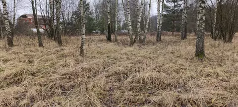Участок в Московская область, Богородский городской округ, д. Исаково  ...