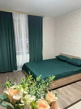 1-к кв. Московская область, Домодедово Южный мкр, ул. Курыжова, 14 ...