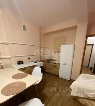 Студия Пермский край, Пермь ул. Калинина, 46 (35.0 м)