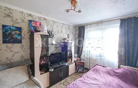 1-к кв. Новосибирская область, Новосибирск Выборная ул., 117 (27.5 м)