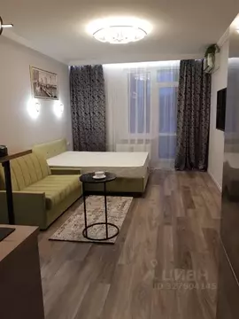 Студия Санкт-Петербург Богатырский просп., 2А (32.0 м)