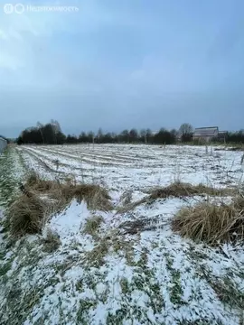 Участок в Московская область, муниципальный округ Чехов, село ...