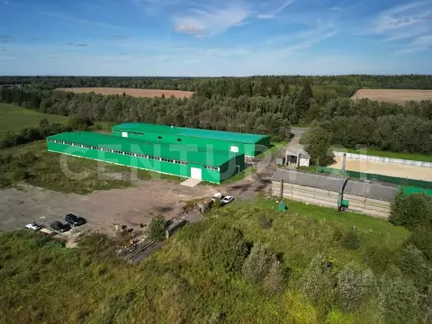 Помещение свободного назначения в Ленинградская область, Волосовский ...