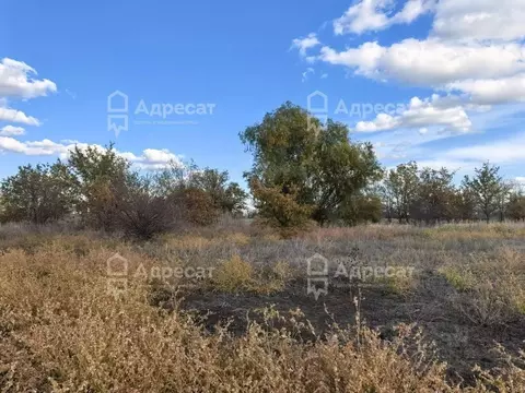 Участок в Волгоградская область, Краснослободск Среднеахтубинский ...