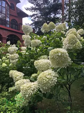 Коттедж в Московская область, Люберцы городской округ, Малаховка пгт ...