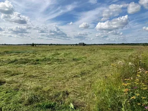 Участок в Вологодская область, пос. Заря  (14.0 сот.)