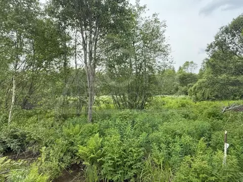 Участок в Ленинградская область, Выборг ул. Младших Командиров (10.0 ...