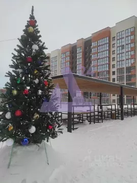 Студия Алтайский край, Барнаул тракт Павловский, 196к4 (26.1 м)