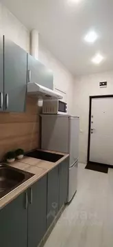 Студия Москва Автозаводская ул., 23Бк2 (21.0 м)