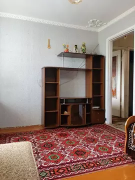 1-к кв. Челябинская область, Челябинск Новороссийская ул., 47А (28.5 ...